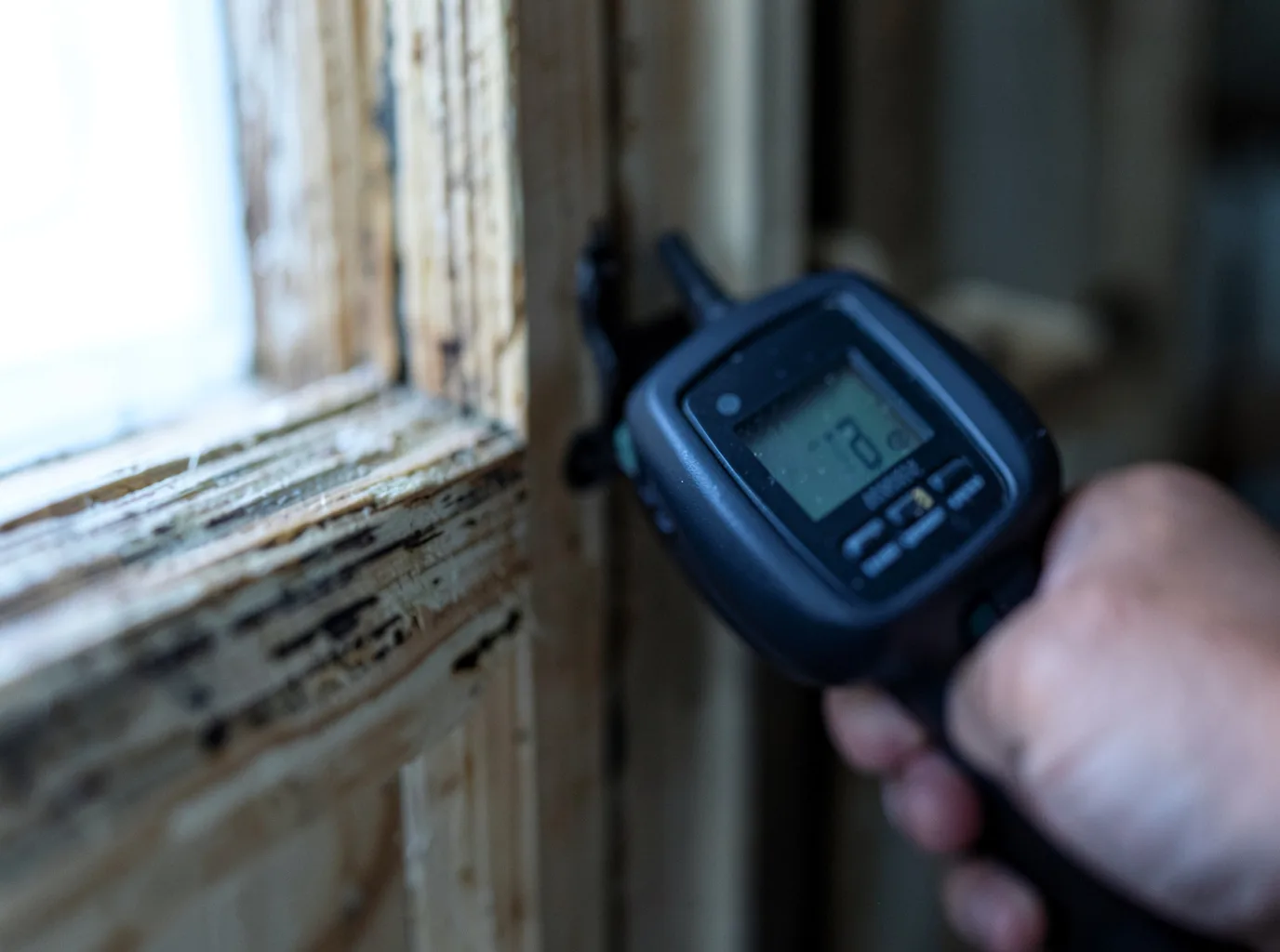 Moisture Inspection And Documentation in Mountainside, NJ